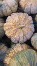 Pumpkin Ingredient vegetable food organic healthy