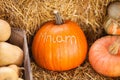 Pumpkin with the inscription Mnyam, a delicious orange pumpkin lies on a hay among other pumpkins
