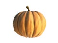 Pumpkin isolated