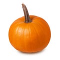 Pumpkin isolated. Big ripe orange pumpkin for eating or Halloween cut out on white background Royalty Free Stock Photo