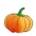 Pumpkin isolated