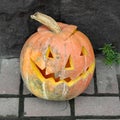 Pumpkin isolated and made with your own hands for Halloween Jack O lantern. Royalty Free Stock Photo