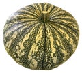 Pumpkin Isolated Royalty Free Stock Photo