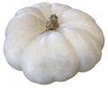 Pumpkin Isolated Royalty Free Stock Photo