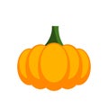 Pumpkin isolated on white background. Autumn Halloween pumpkin. Squash orange vegetable icon.