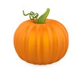 Pumpkin Isolated