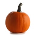 Pumpkin isolated on white Royalty Free Stock Photo