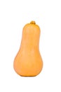 Pumpkin isolated on a white. Sweet Pear-shaped Orange Pumpkin