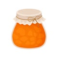 Pumpkin jam jar, homemade sweet jelly dessert vector Illustration on a white background