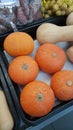 Pumpkin Kabocha in Supermarket Royalty Free Stock Photo