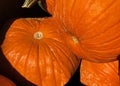 Pumpkin, Large, Jack-o-Lantern size, Bright Orange