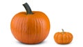 Pumpkin large and small size on white isolated background. Pumpkin super macro closeup.