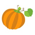 Pumpkin with leafs isolated on white background Royalty Free Stock Photo
