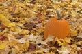 Pumpkin and leaves Royalty Free Stock Photo