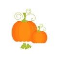 Pumpkin and leaves. Vector illustration.