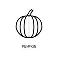 Pumpkin Line Icon In A Simple Style. A set of vector icons in a simple style, isolated on a white background. 64x64