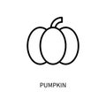Pumpkin Line Icon In A Simple Style. A set of vector icons in a simple style, isolated on a white background. 64x64