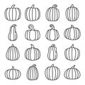 Pumpkin line icons set. Organic food. Vector