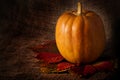 Pumpkin on matting background