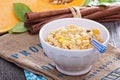 Pumpkin millet porridge Royalty Free Stock Photo