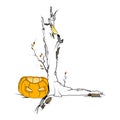 Pumpkin near the tree. Halloween. Vector design