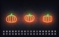 Pumpkin neon vector icons. Set of traditional Thanksgiving orange pumpkin sign