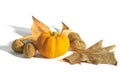 Pumpkin and nuts