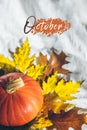 pumpkin with oak leaf on white sheets. october text