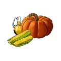 A pumpkin, oil and and corns
