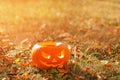 Pumpkin with an ominous expression on the ground in the dry leave