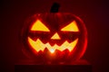 Pumpkin ominous pumpkin with an ironic smile on a white background