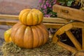 Pumpkin one on another ribbed fruit. Autumn harvest on straw basis and part of wheel carts rustic background with copy space