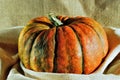 Pumpkin Royalty Free Stock Photo