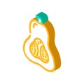 pumpkin orange isometric icon vector illustration