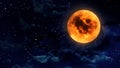 Pumpkin orange moon