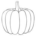 Pumpkin. Outline doodle