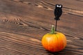 Pumpkin with owl for halloween on a brown wooden background