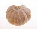 Pumpkin, Pumpkin on packground Royalty Free Stock Photo