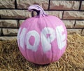 A pumpkin pai Ted pink with the word HOPE written in white sits on a straw bale