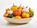 Pumpkin Palette: Vintage Ceramic Bowl with Multi-Colored Pumpkins on a Pure White Canvas