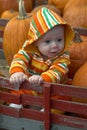 Pumpkin Patch