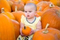 Pumpkin Patch Baby looking unimpressed