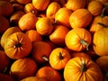 Pumpkin Patch background