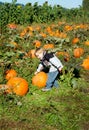 Pumpkin Patch Child Selects Big Pumpkin