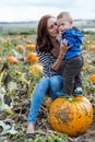 Pumpkin patch Royalty Free Stock Photo