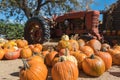 Pumpkin Patch complete with an old tractor Royalty Free Stock Photo