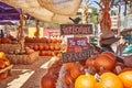 Pumpkin Patch During Holloween Time in California