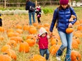 Pumpkin patch