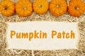 Pumpkin patch message with straw hay and pumpkins