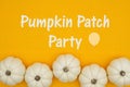 Pumpkin Patch party invite with white pumpkins Royalty Free Stock Photo